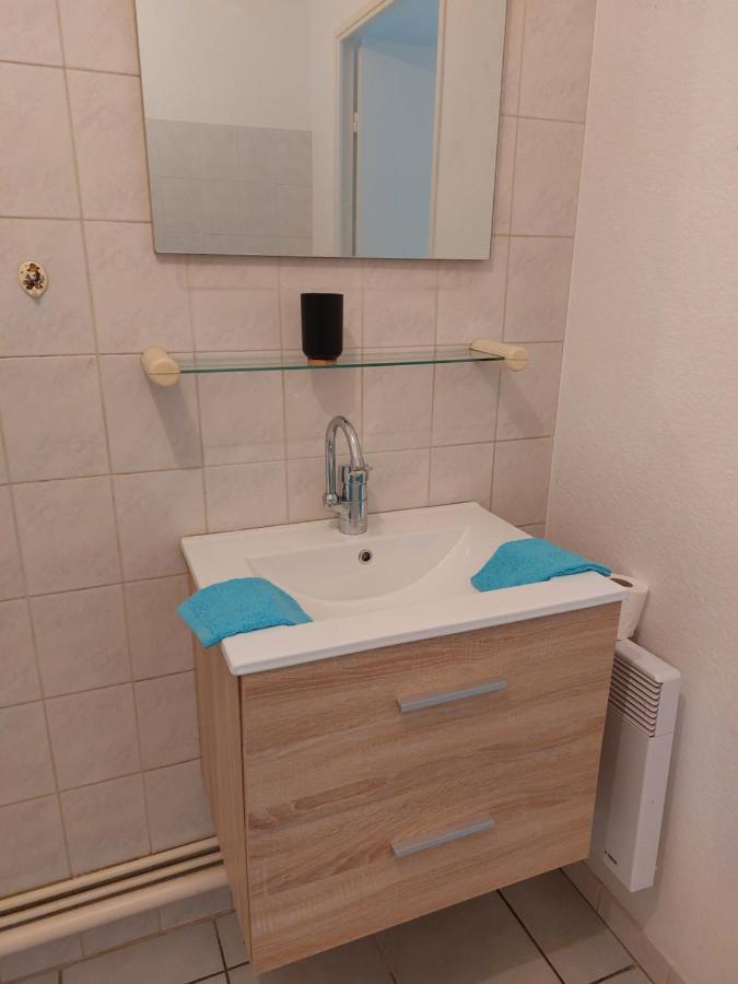 Dans Site Historique Apartment Vizille